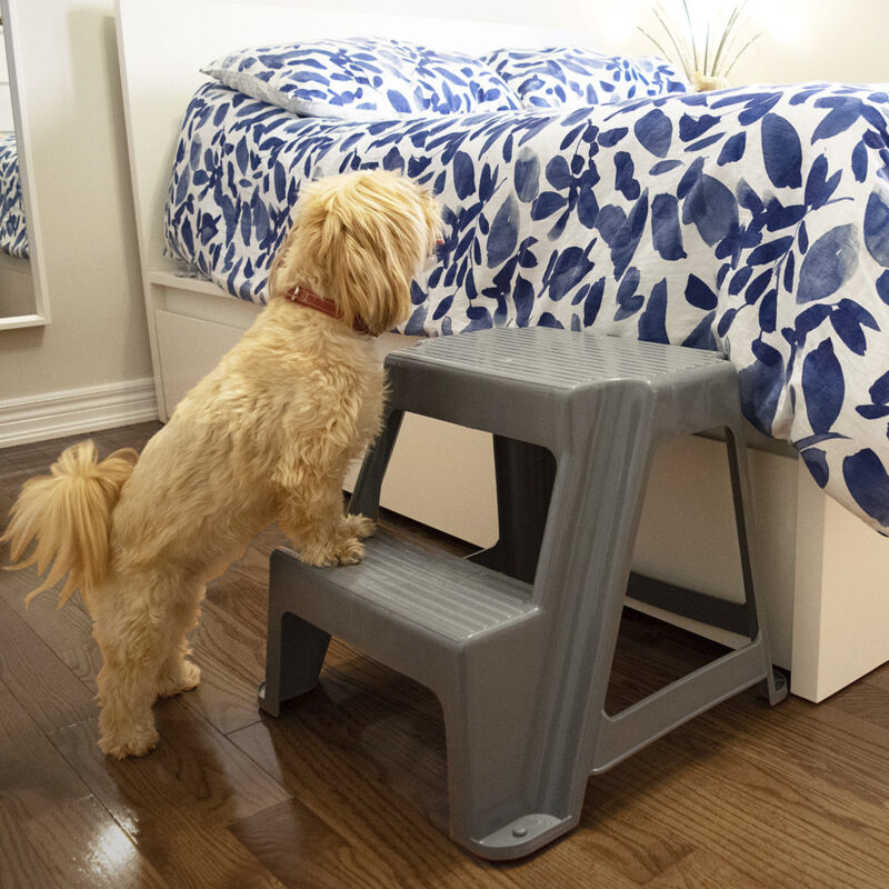 Two Step Pet Stool